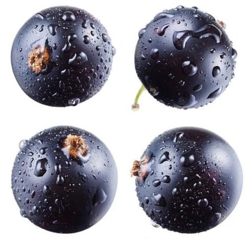 फ्रोजन Blackcurrant
