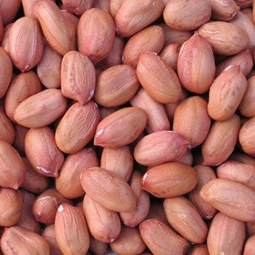 Java Peanut Kernels Hps - Broken (%): Max 1-2%