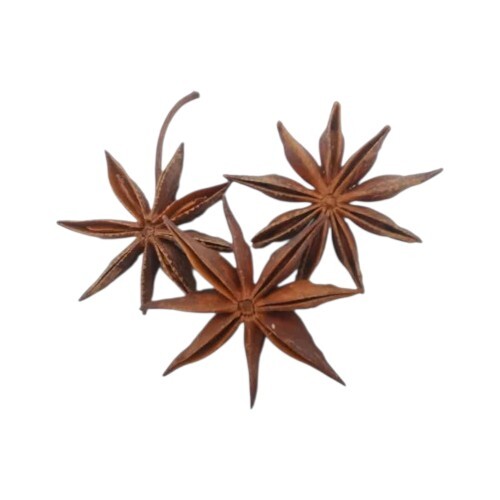 Spring Star Anise Flower