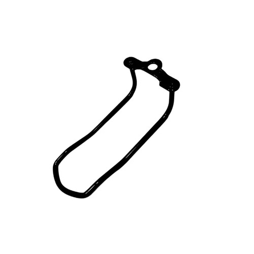 Bicycle Derailleur Guard