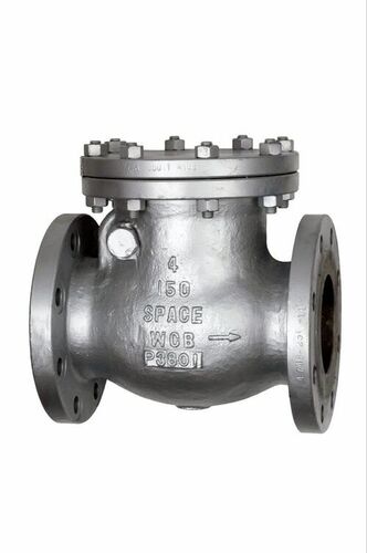 Cs Swing Check Valve