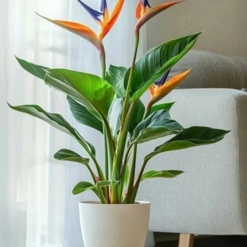 Bird Of Paradise Artificial Plant 