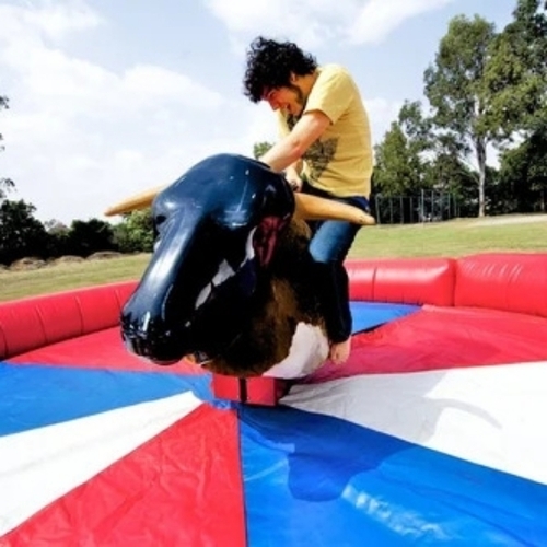 Bull Ride Game