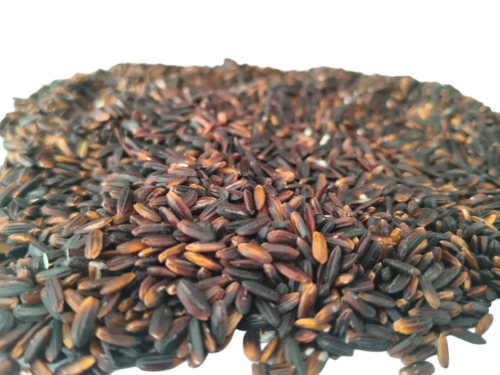Karuppu Kavuni Rice
