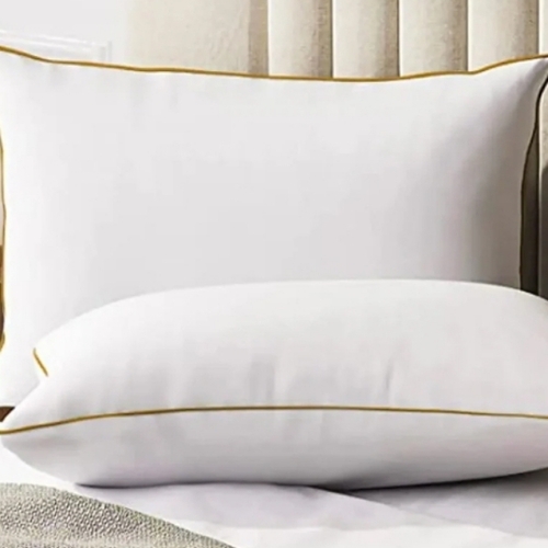Cushion Pillow