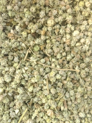 Tribulus Terrestris - Color: Green