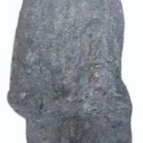 Hard Cock Lump