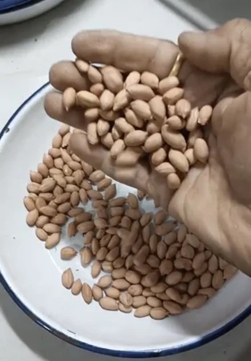 Girnar 4 Groundnut