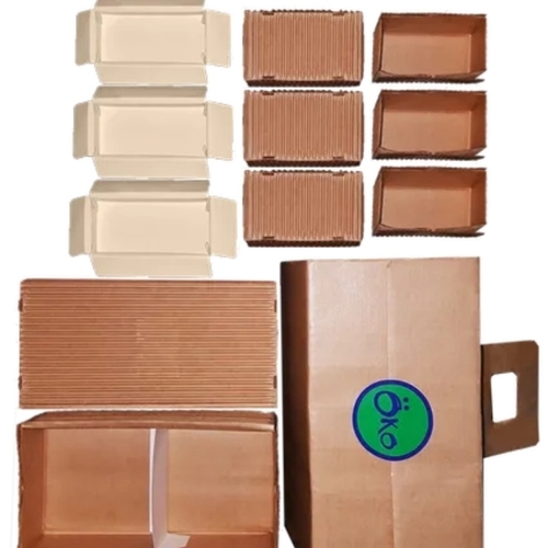Oko Thali Box By Evirocor Packaging India Pvt. Ltd.
