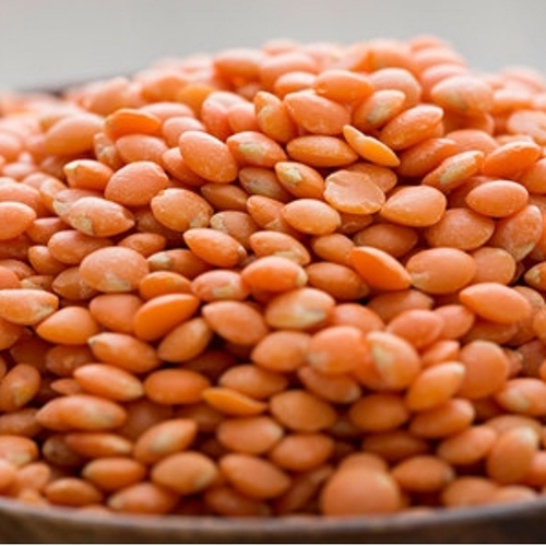 Masoor Dal