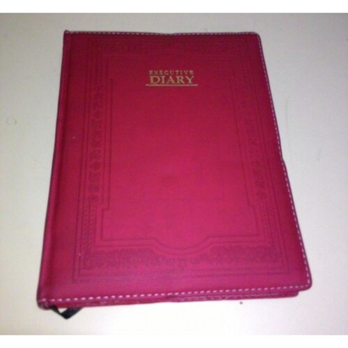 New Year Diaries 2026
