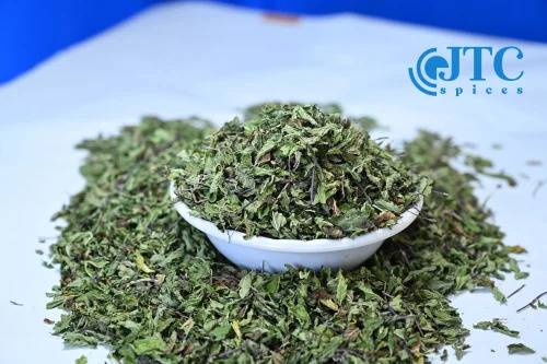 1 Kg Mint Leaf Packet - Organic, Green, A Grade, Imported | Cooking Use