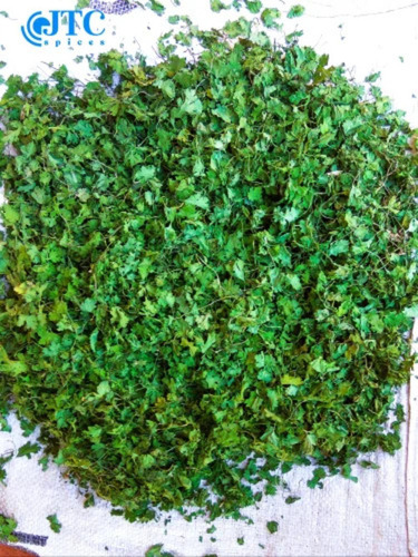 5 Kg Dried Coriander Leaves