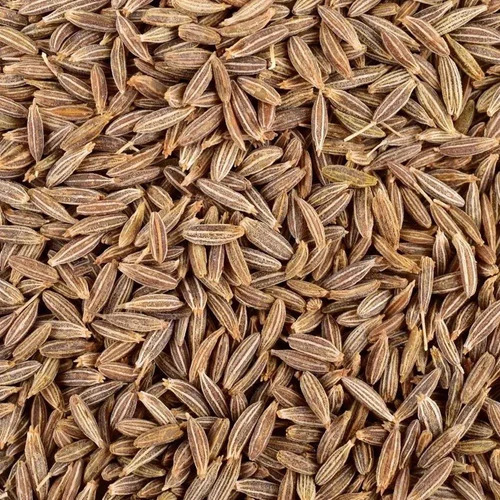 Asta Quality Cumin Seed