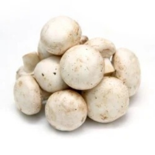 Button Mushrooms By Tapaswi Mushroom