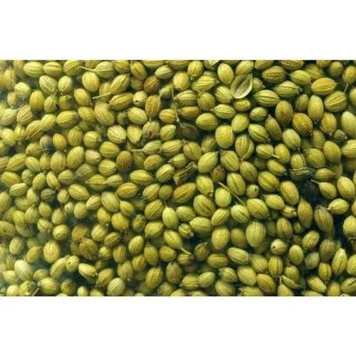 Coriander Seed Double