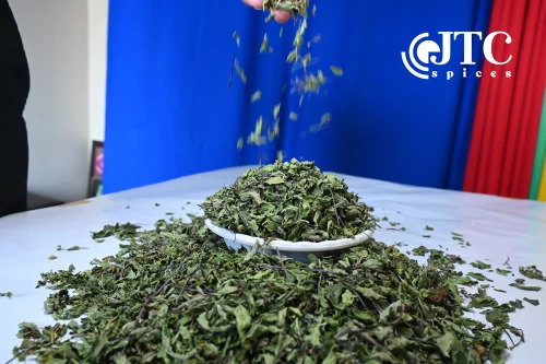 Dry Mint Leaf
