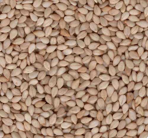 Golden 98/2/2 Natural Sesame Seed