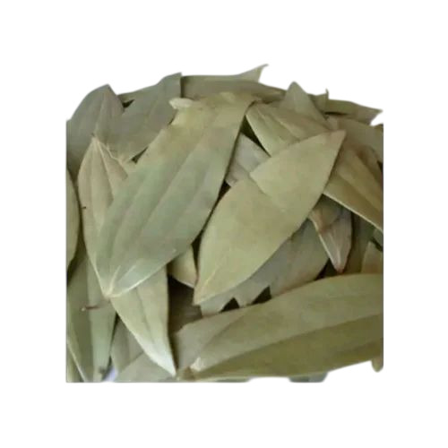 Bay Leaf