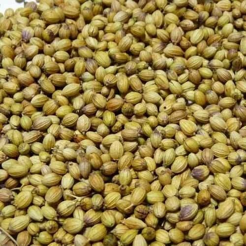 Coriander Seed