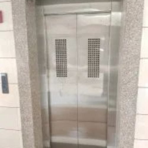 Passenger Lift - Usage: Residential Elevators
