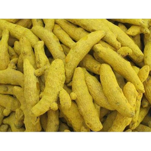 Raw Turmeric Finger