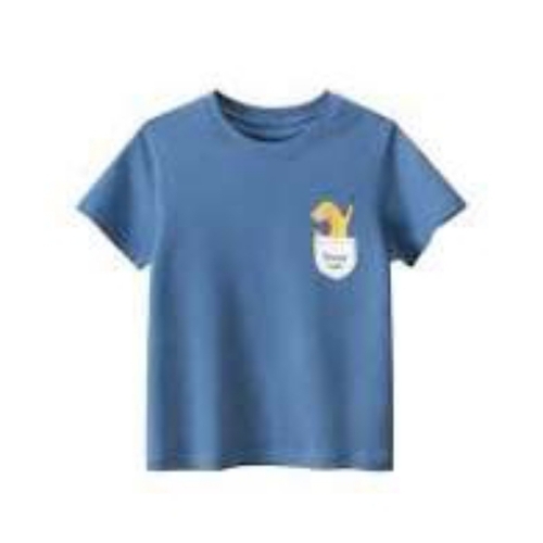 Round Neck T Shirt - Age Group: Adult