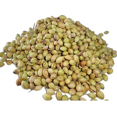 Whole Coriander Seed