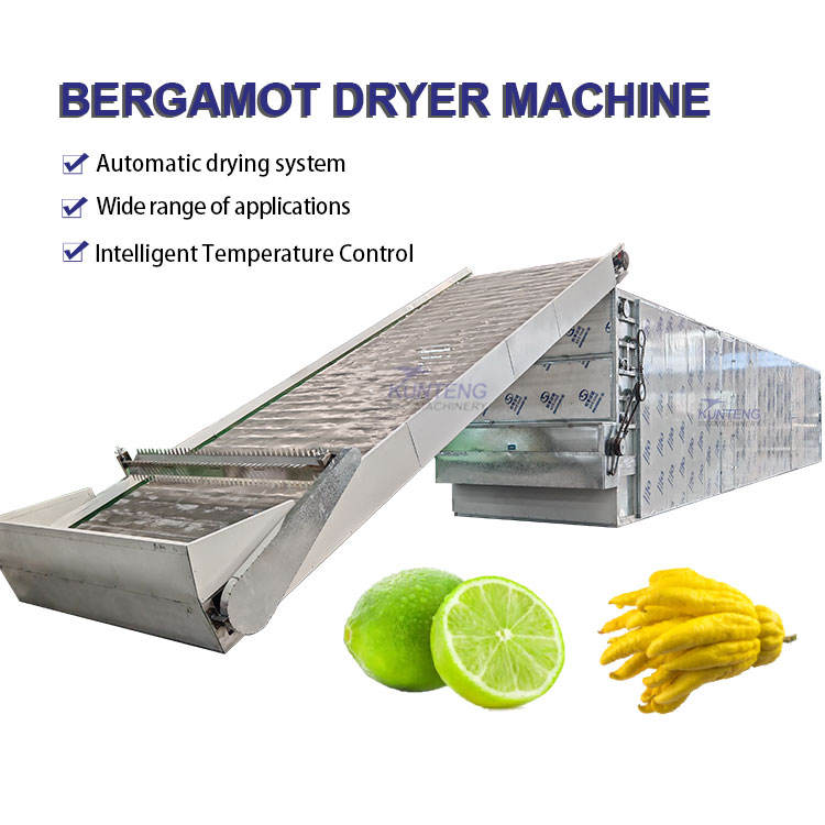 Automatic Heat Pump Bergamot Lemon Orange Food Drying Machine - Color: Customized