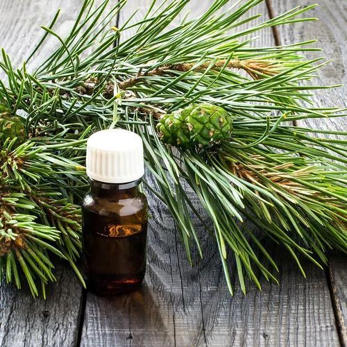 Camphor Pine Oil