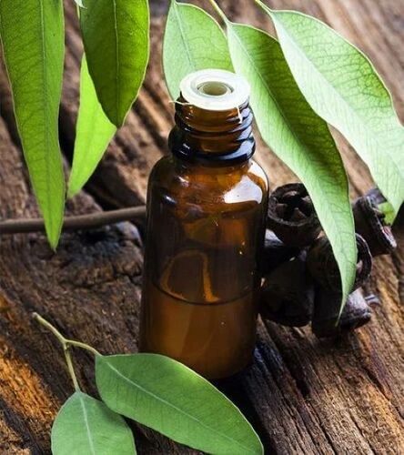 Eucalyptus Oil Nilgiri Oil