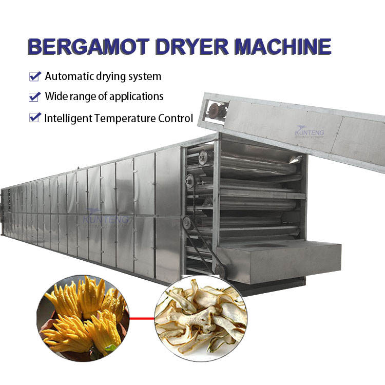 Industrial Fingered Citron Lemon Fruit Vegetable Drying Machine - Dimension (L*W*H): 10000*2000*2600 Millimeter (Mm)