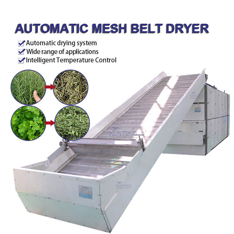 Industrial Herb Leaf Vegetable Mesh Belt Dryer Machine - Dimension (L*W*H): 220*250*800Cm  Centimeter (Cm)