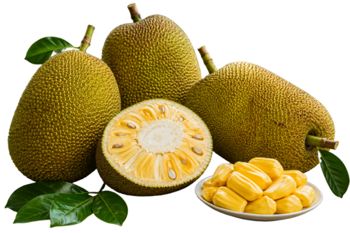 Jackfruit (Varikka/Firm)