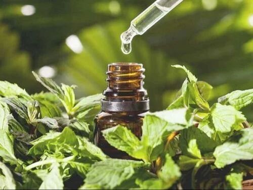 Organic Peppermint Oil