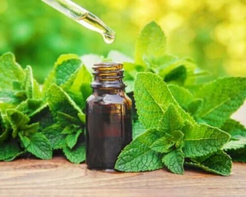 Premium Mentha Arvensis Oil