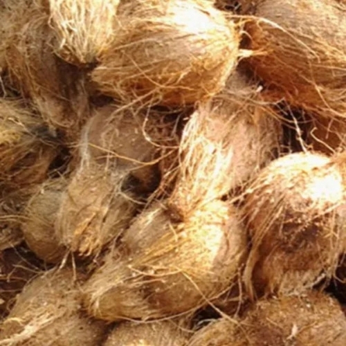 Semi Husked Coconuts