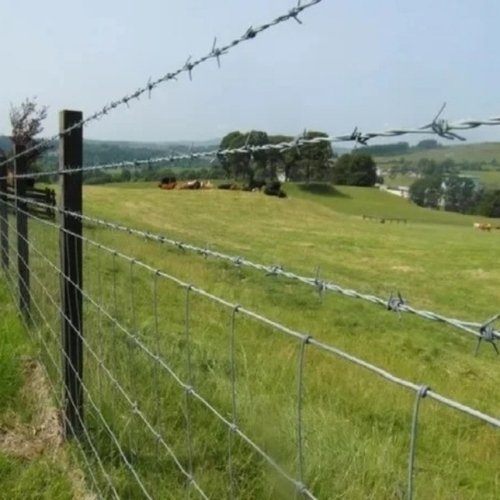 3.00 Mm Frencing Gi Barbed Wire