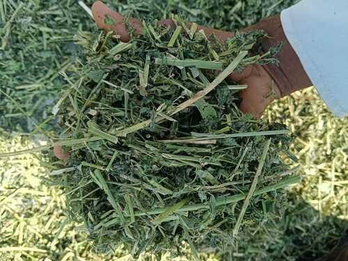 Alfalfa Leaf - Application: Industrial
