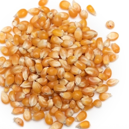 Kernels
