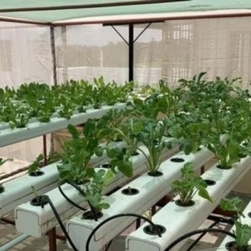 Upvc White Hydroponic Systems