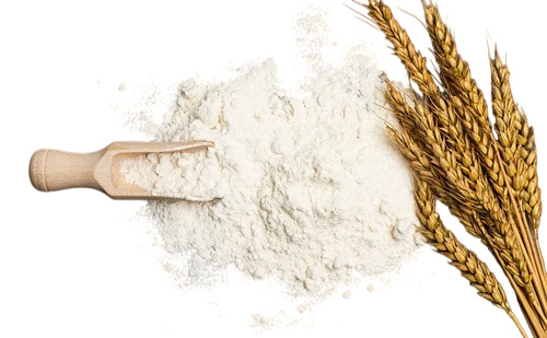 White Maida Flour