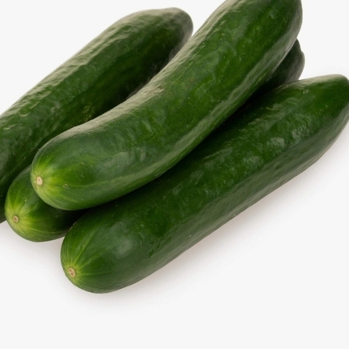 Cucumber By Basanti Mushroom Kolkata