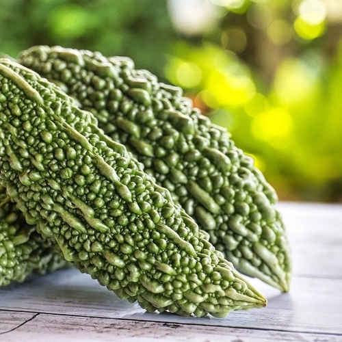 Green Bittergourd