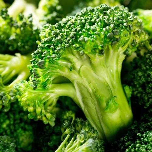 Green Broccoli