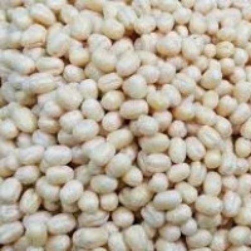 Urad Dal By Zoom International
