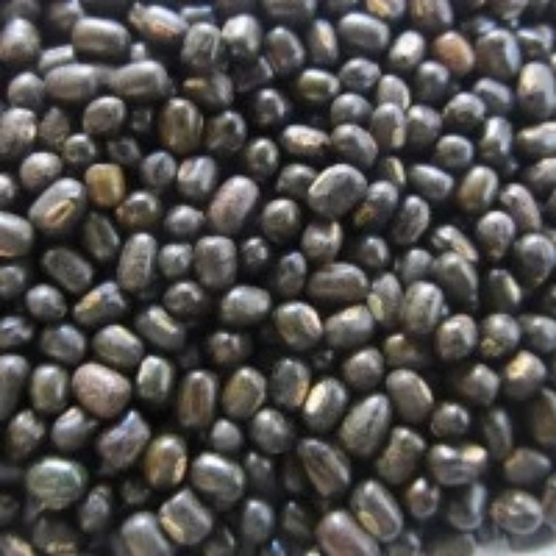 Whole Black Gram