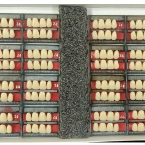 Zero Degree Acrylic Teeth Set