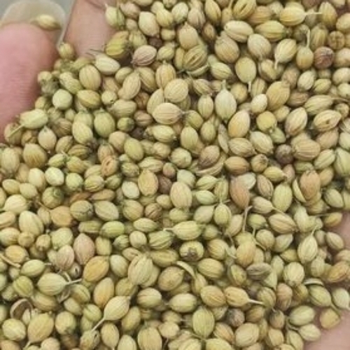 Coriander Seed( Eagle)