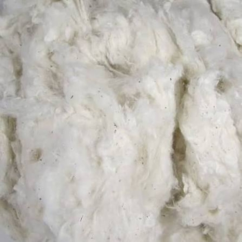 Cotton Fiber